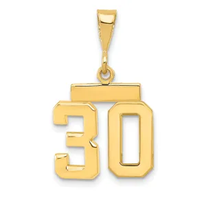 14k yellow gold small polished number 30 charm