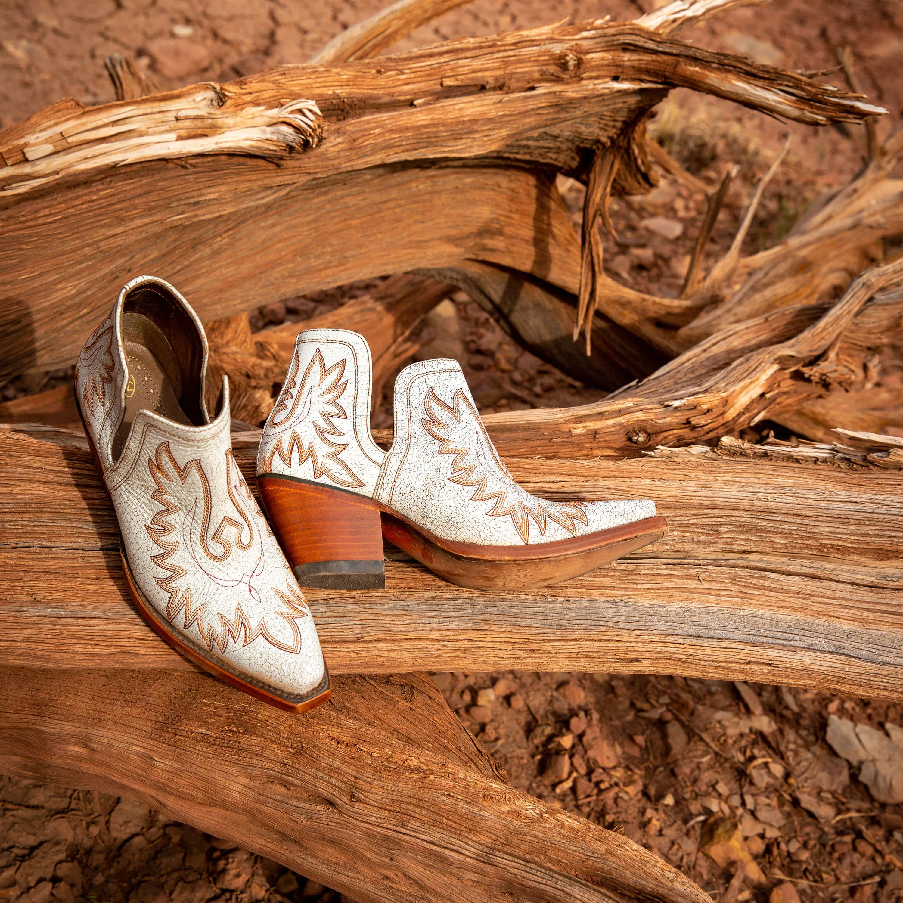 Ariat Dixon Bright Light Booties