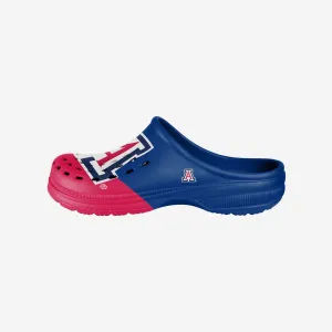 Arizona Wildcats Colorblock Big Logo Clog