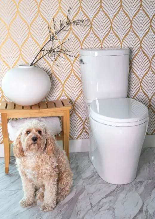 Caroma Somerton Smart (Lever) Dual Flush Toilet