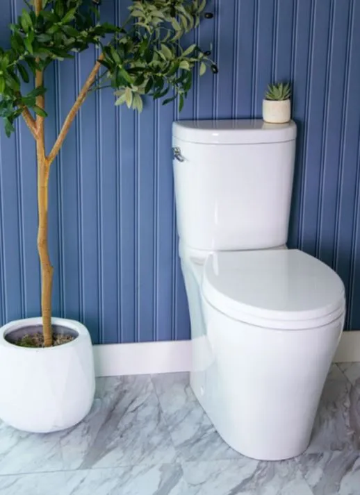 Caroma Somerton Smart (Lever) Dual Flush Toilet