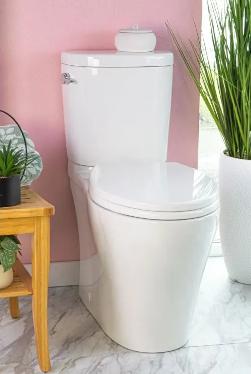 Caroma Somerton Smart (Lever) Dual Flush Toilet