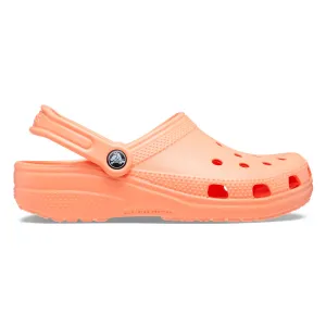 Classic Clog