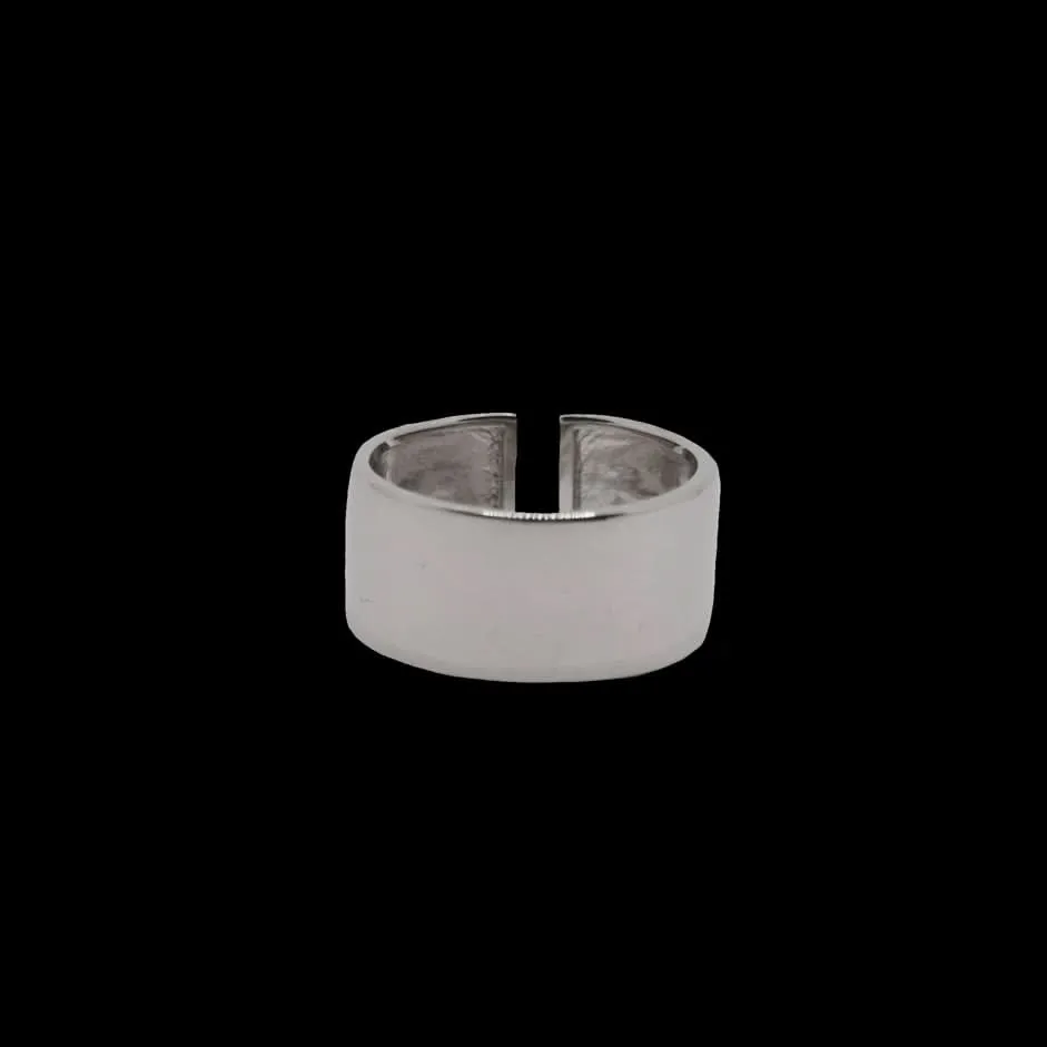 Clean Ring Silber