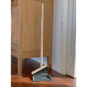 Dustpan and Brush with Long Handle