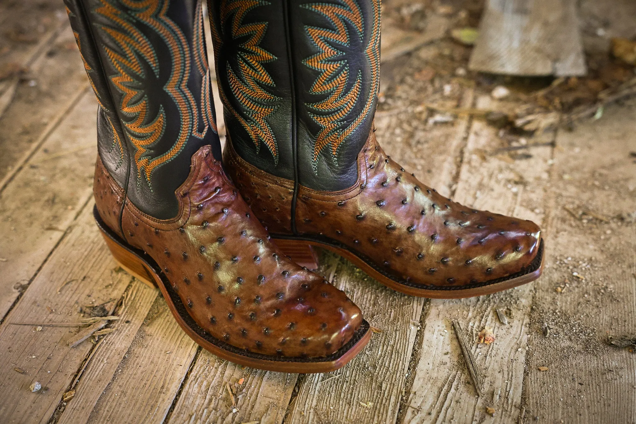 Hyer Womens Colby Ostrich Boot