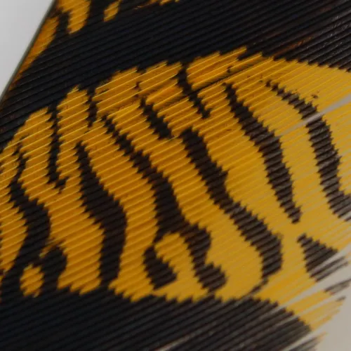 Lady Amherst Ctr Tail