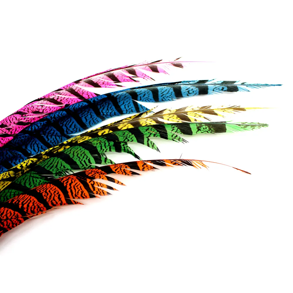 Lady Amherst Ctr Tail