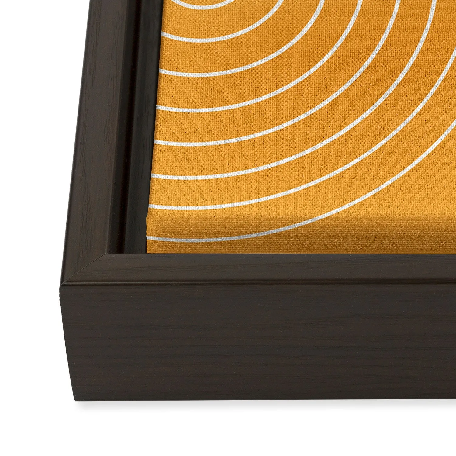 Minimal Line Curvature Gold Art Canvas
