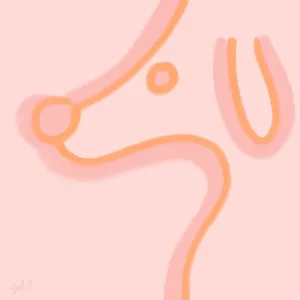 Minimal Sherbert Dog Poster