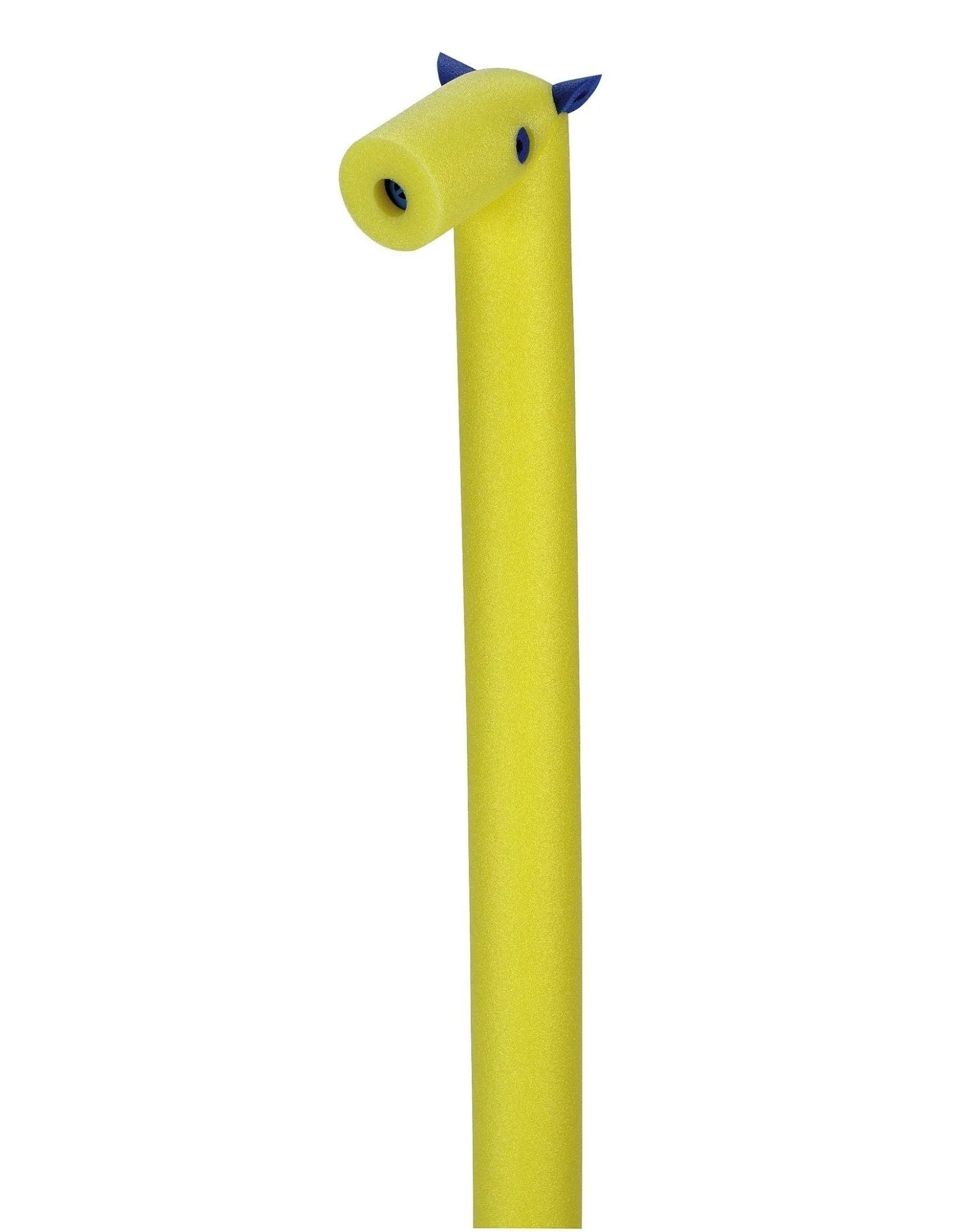 Pony Whistle Swim Noodle