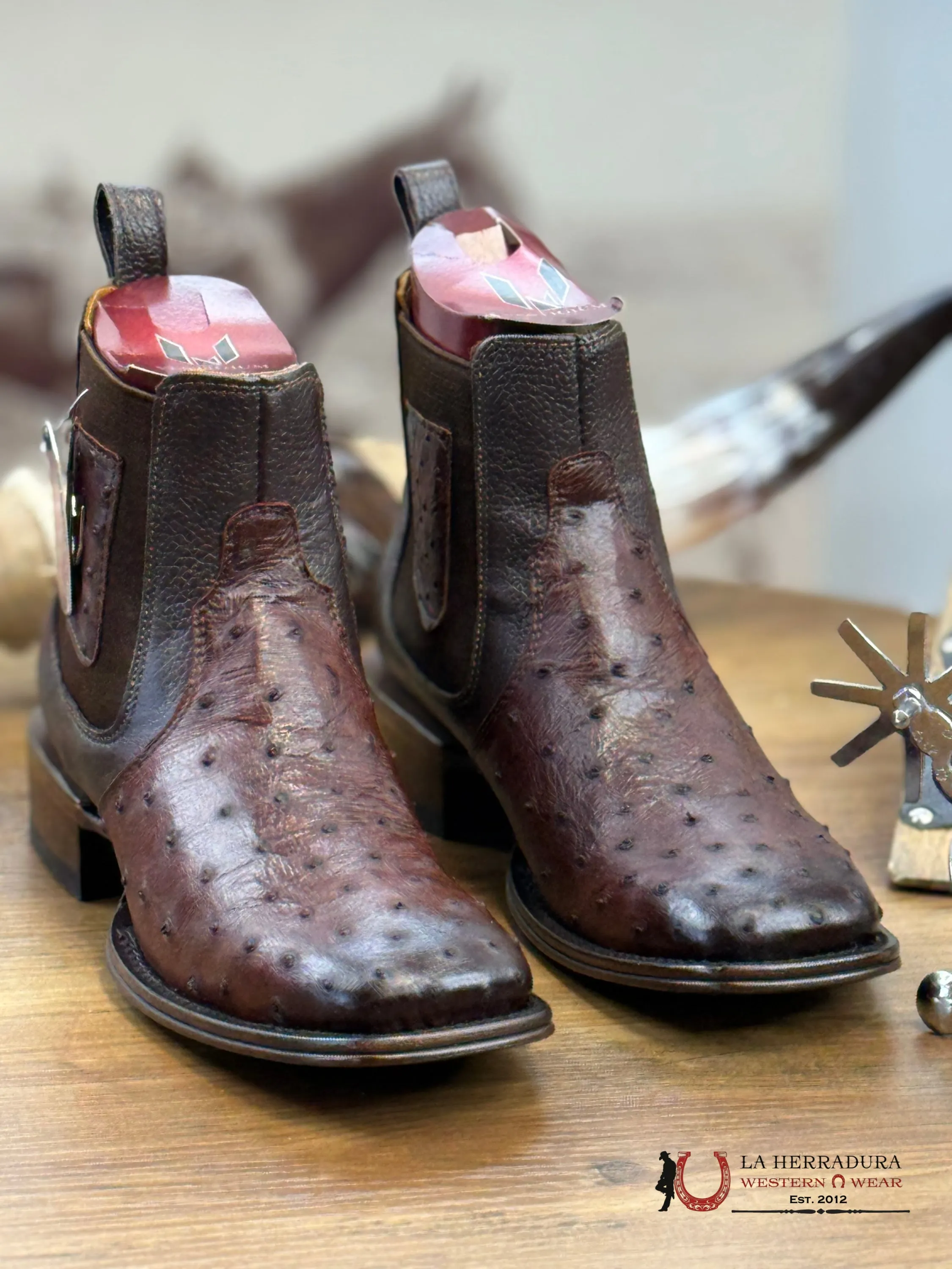 VESTIGIUM SHORT BOTIN EXOTIC OSTRICH BROWN LEATHER - 0316