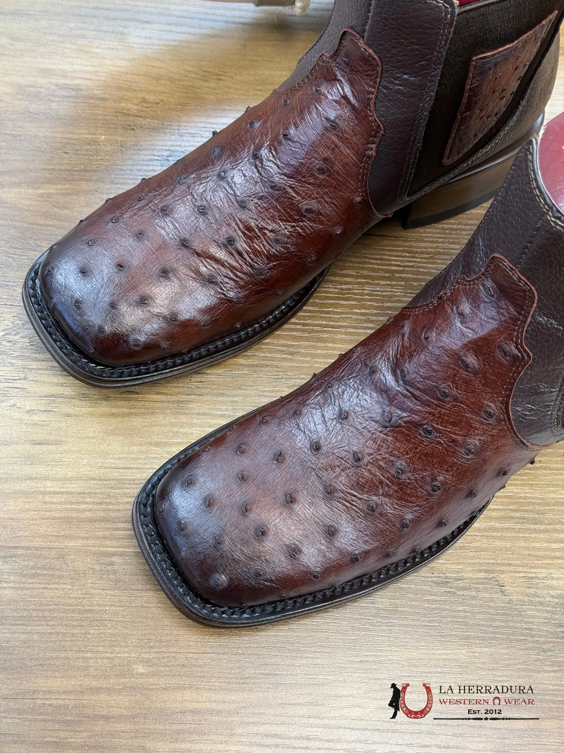 VESTIGIUM SHORT BOTIN EXOTIC OSTRICH BROWN LEATHER - 0316