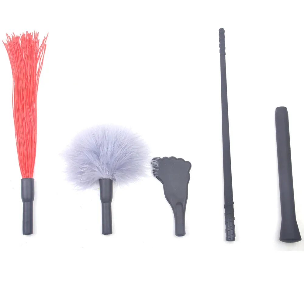 Whip & Paddle & Feather Tickler Kit